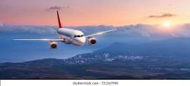 Flight